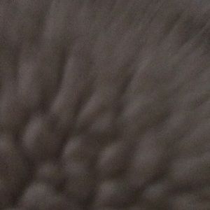 Meet your Posher, Ana